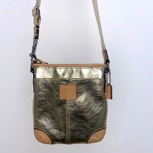 Gold Iridescent Crossbody purse